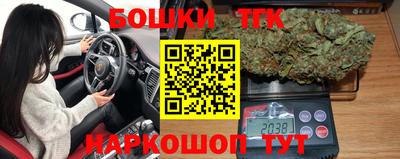 прущие грибы Пушкино