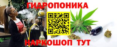 СК Пугачёв