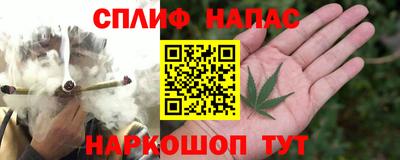 прущие грибы Пушкино