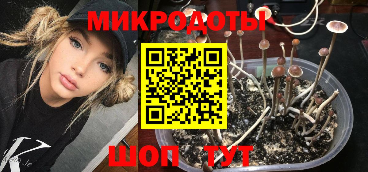Галлюциногенные грибы Psilocybine cubensis  Вход с VPN  Партизанск 