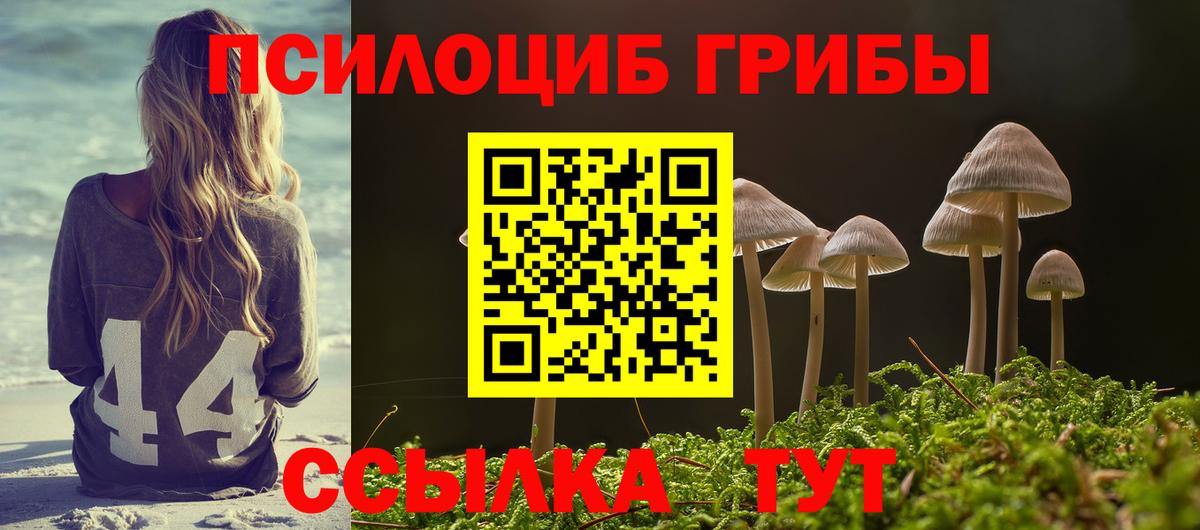 Псилоцибиновые грибы Cubensis Партизанск